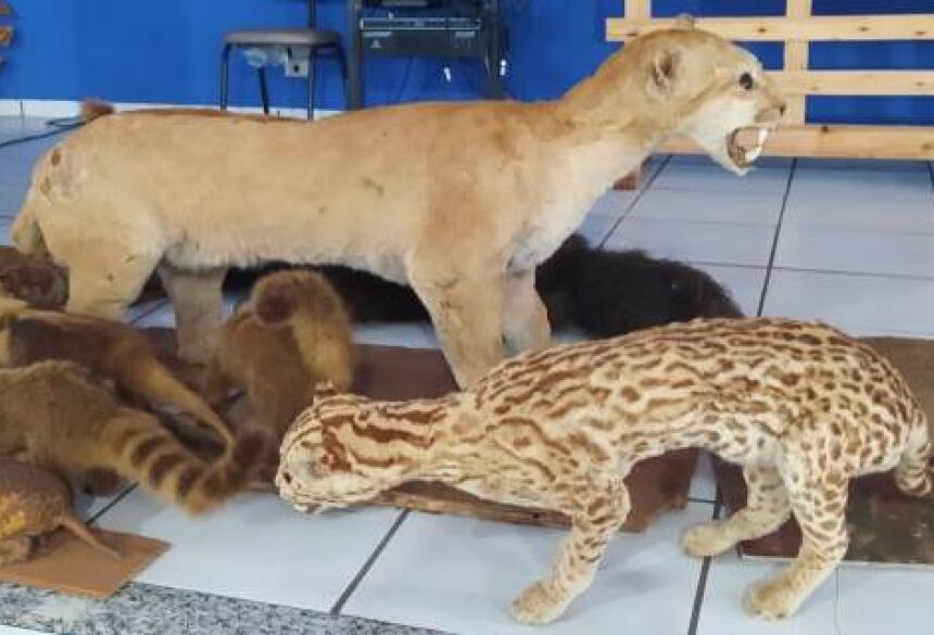 FOTO/ ELIAS FERREIRA / LUPA NEWS 