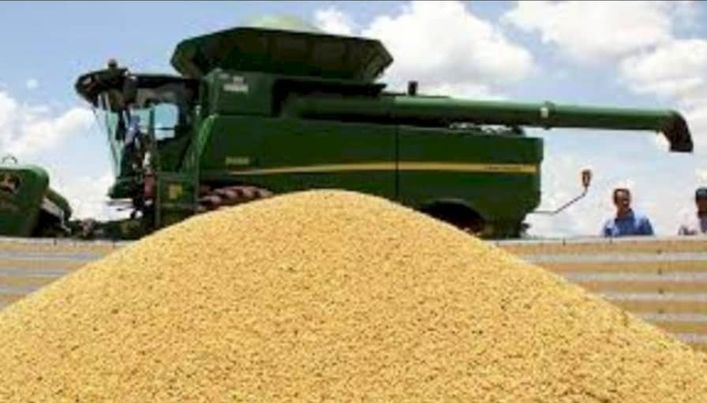 Exportações de soja continuam em alta - Arquivo