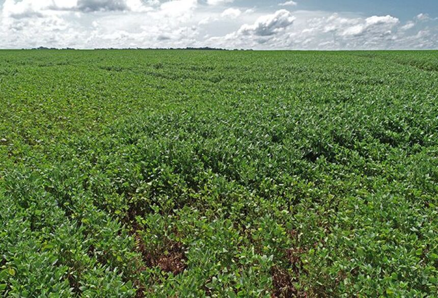 Rosana Siqueira, Subcom Foto: Arquivo