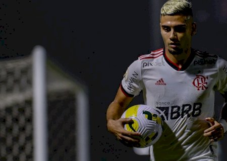 © Marcelo Cortes/Flamengo/Direitos Reservados