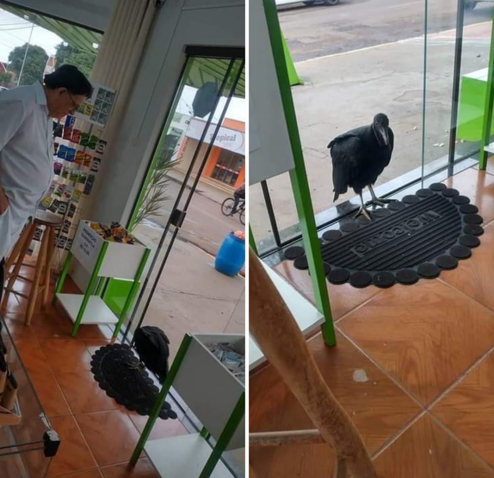 Foto/ Glória City o Retorno 