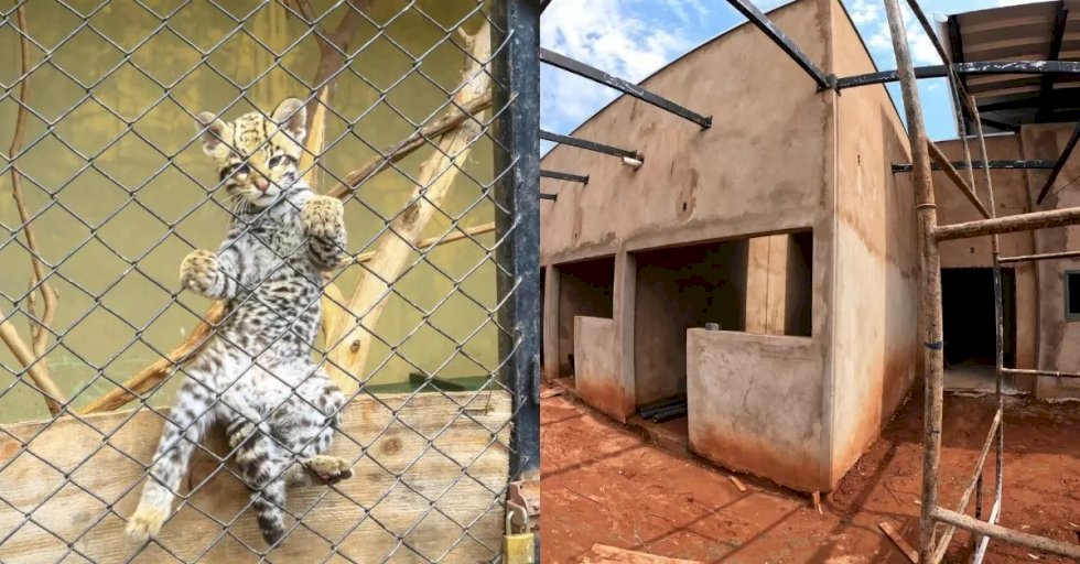Hospital terá mais de 1 mil m². (Foto: Governo de Mato Grosso do Sul)