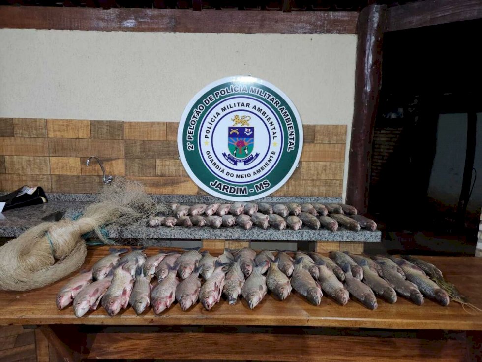 PMA apreendeu 34 kg de pescado no mês de outubro - Crédito: PMA/Divulgação