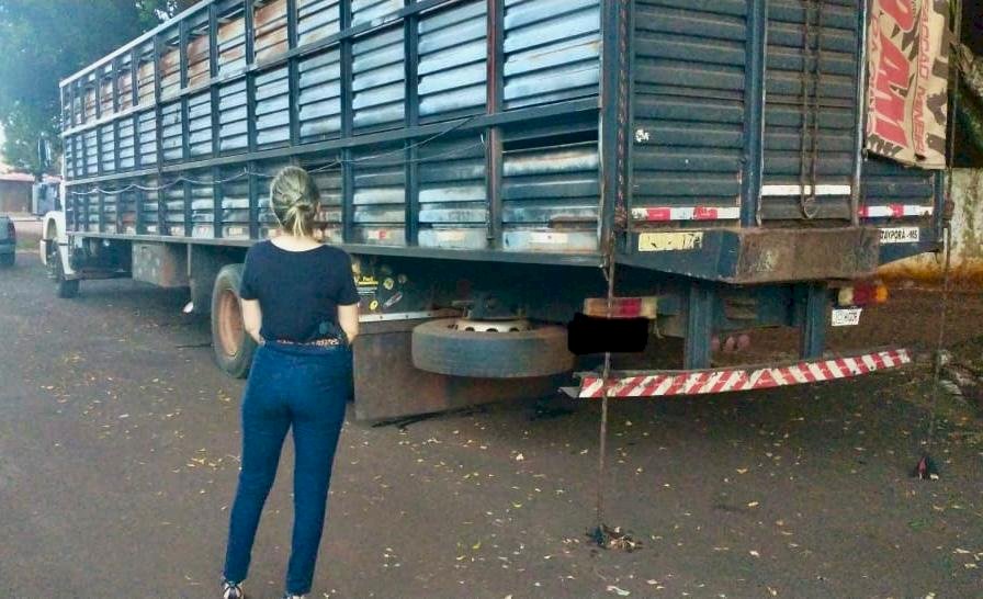 Foto Divulgação: Dra. Gabriela Vanoni em momento da apreensão