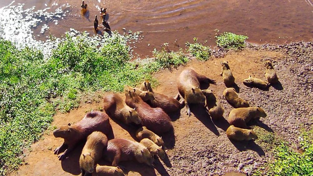  Fotos: Anderson Navarro