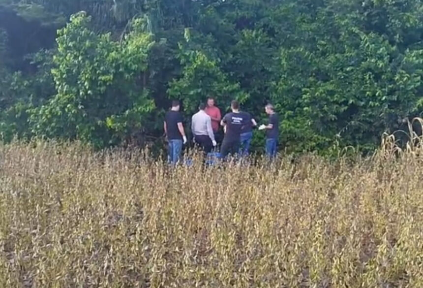 Corpo da criança foi encontrado em uma lavoura de soja; Foto: Adilson Domingos/Ligado Na Notícia