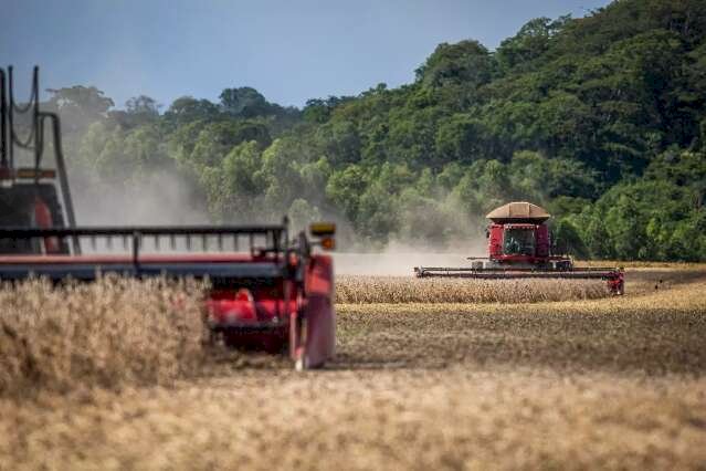 Máquinas aproveitam bom tempo para acelerar colheita da soja; boletim da Famasul indica que em 9 de fevereiro só 1,5% da soja tinha sido colhida na região Sul. (Foto: Arquivo/Aprosoja)