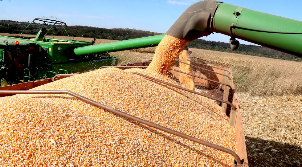  GOVMS / PAULO DE CAMARGO FERNANDES