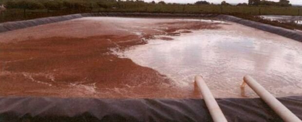 Empresa solucionou problemas, diz relatório - Crédito: Reprodução MPMS