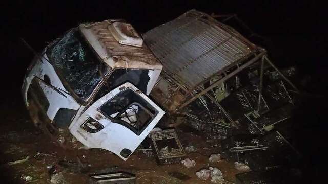 Caminhão ficou destruído e frangos ficaram espalhados na rodovia (Foto: Lucas Nogueira | Noticidade)