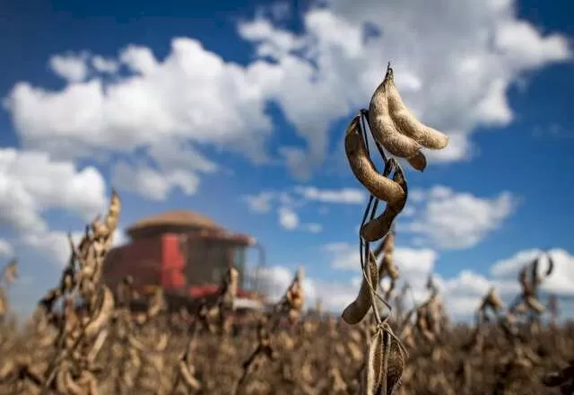 Colheitadeira opera em área plantada com soja em Mato Grosso do Sul. (Foto: Divulgação/Aprosoja-MS)