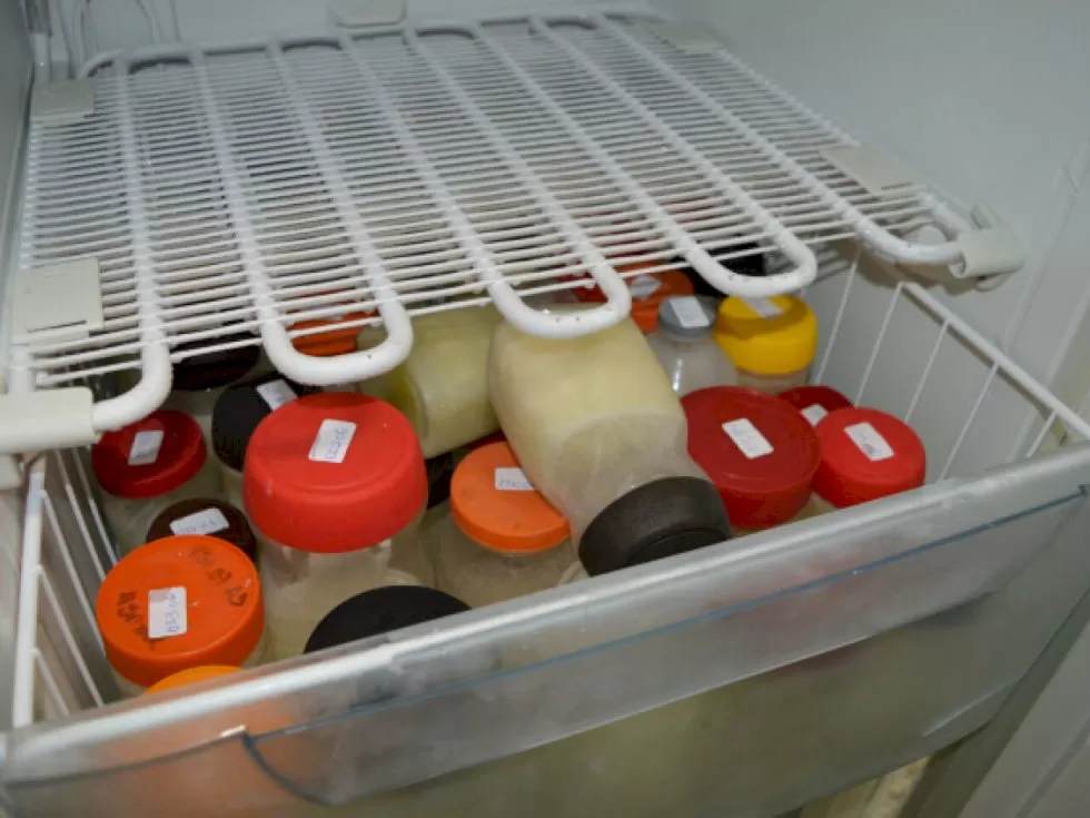 Doações de leite materno apresentaram queda em Dourados - Crédito: Arquivo/Dourados News