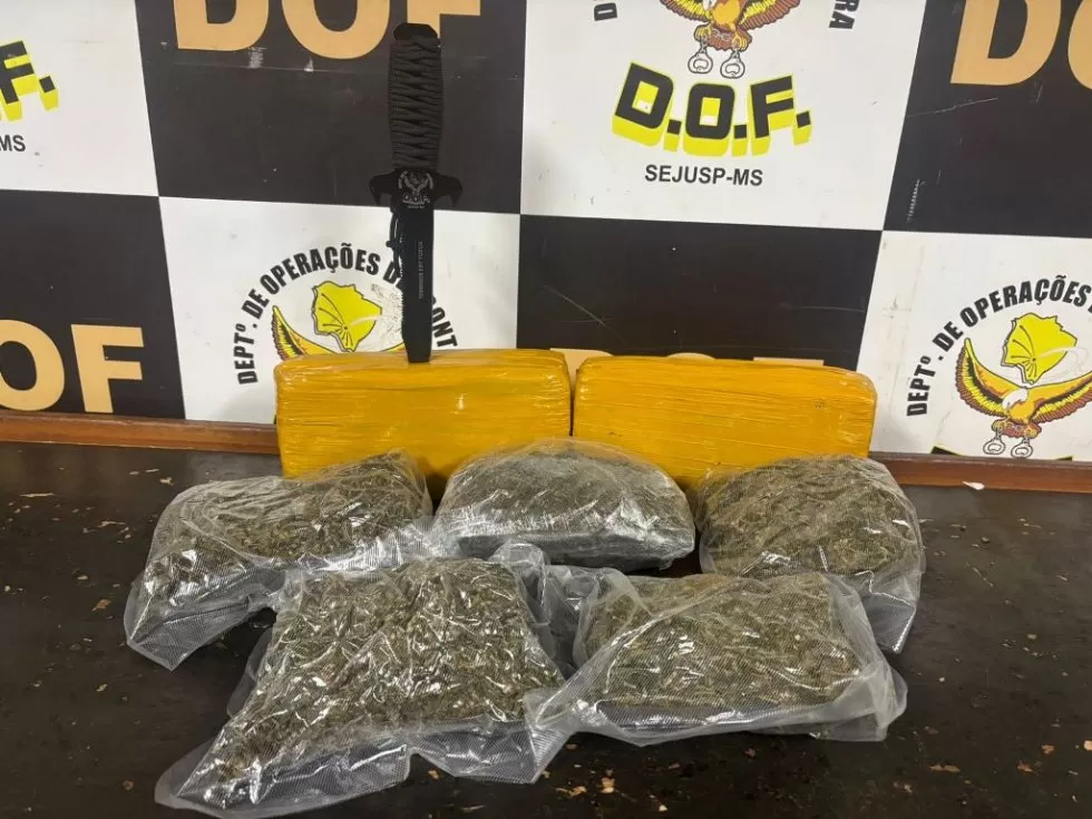 Foto: Divulgação/DOF