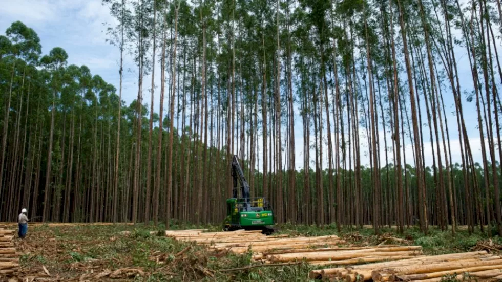Feirão acontecerá em Três Lagoas (Foto: Divulgação, Eldorado Brasil)