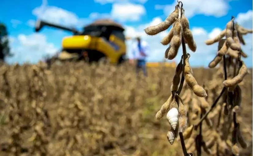 (Foto: Divulgação, Aprosoja)