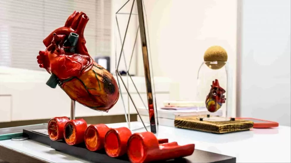 Problemas cardíacos estão associados aos maiores registros de morte no mundo (Alicce Rodrigues, Midiamax)