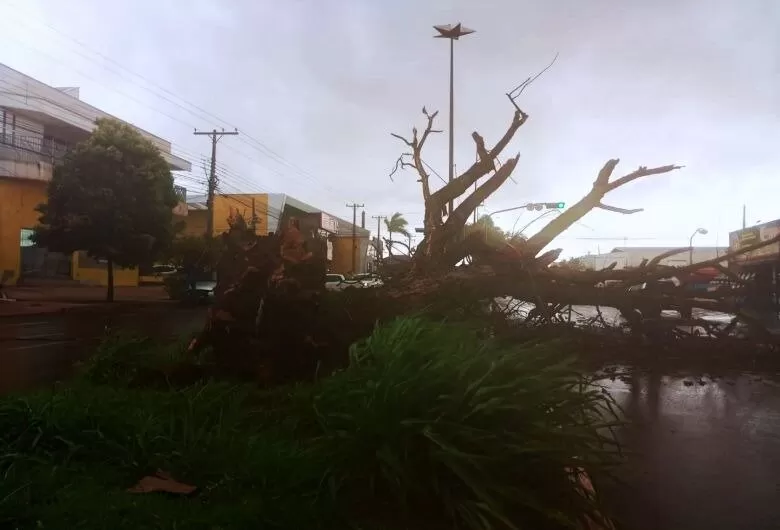 Foto: Ligado na Redação