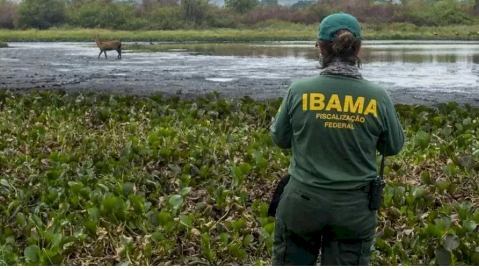 Agente de fiscalização do Ibama (CGMAC/Ibama)