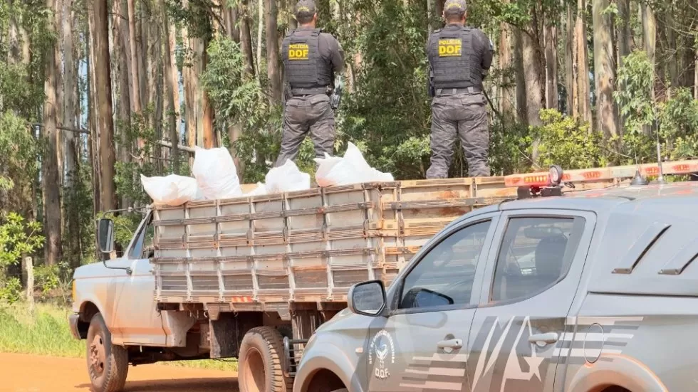 Foto: Divulgação/DOF