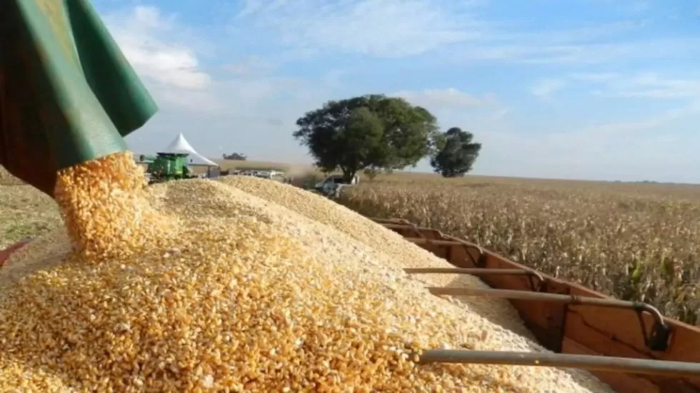 Foto: Reproduçãp/Famasul
