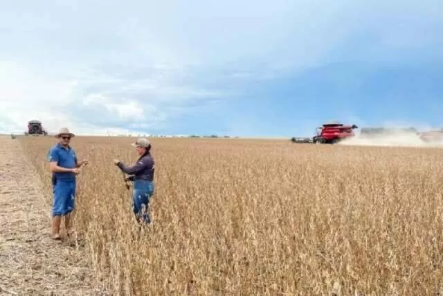 Técnicos conversam durante colheita de soja (Foto: Divulgação/Famasul)