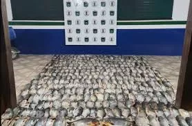 Foto: Divulgação/PMA