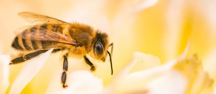Foto: Ministério da Saúde