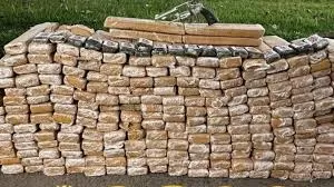 Foto: Divulgação/PF