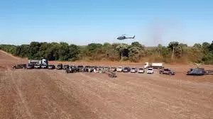 O total de maconha erradicada alcançou aproximadamente 880 toneladas - Fotos: Polícia Federal/Divulgação