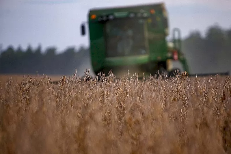 Produção brasileira de soja avança com desafios regionais, enquanto oscilações do dólar e disputa comercial dos EUA têm impacto; Foto: Agência Estadual de Notícias do Paraná