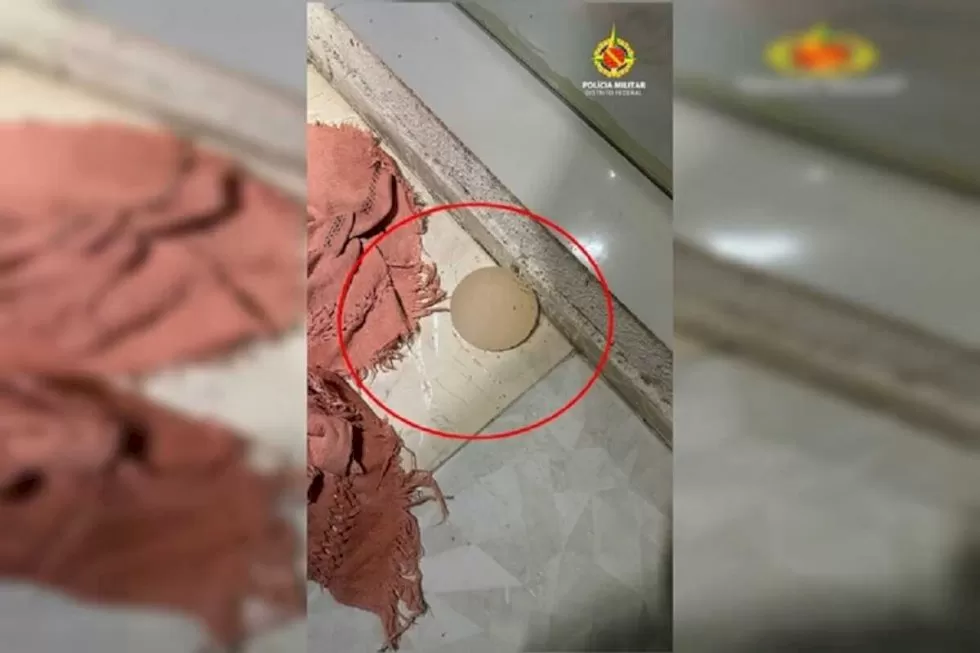 Reprodução / Metrópoles