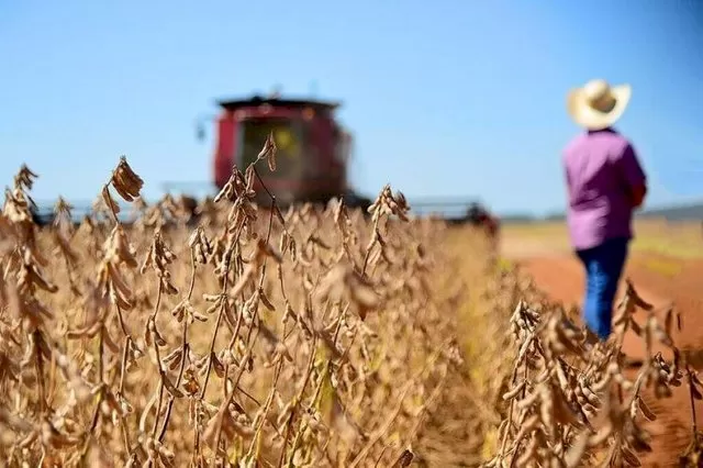 Agricultor acompanha maquinário durante colheita de soja. (Foto: Arquivo/Campo Grande News)
