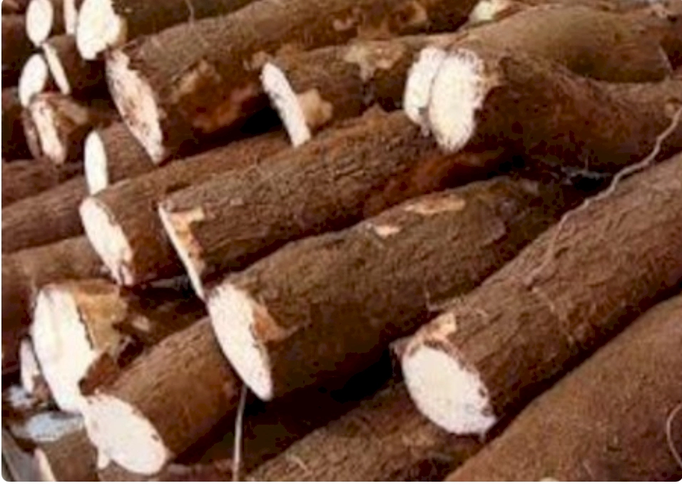 MS é o segundo estado que mais exporta mandioca (Foto: arquivo, Midiamax)