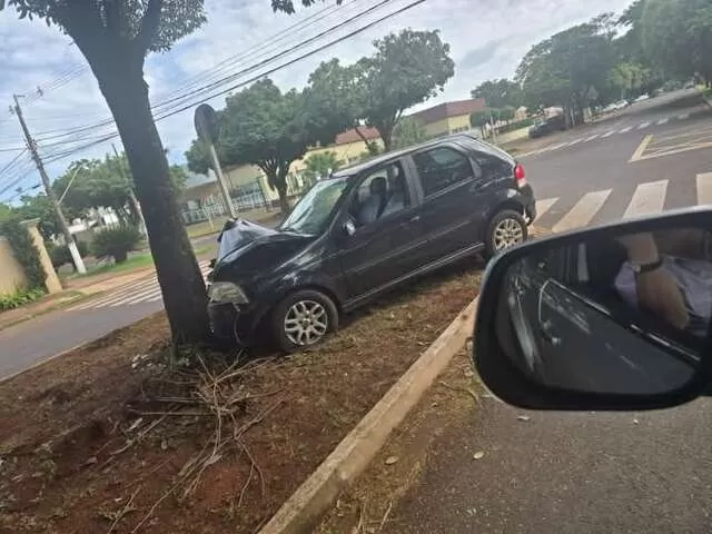 Palio conduzido por Toninho, em canteiro da Rua João Cândido Câmara, em Dourados. (Foto: Direto das Ruas)