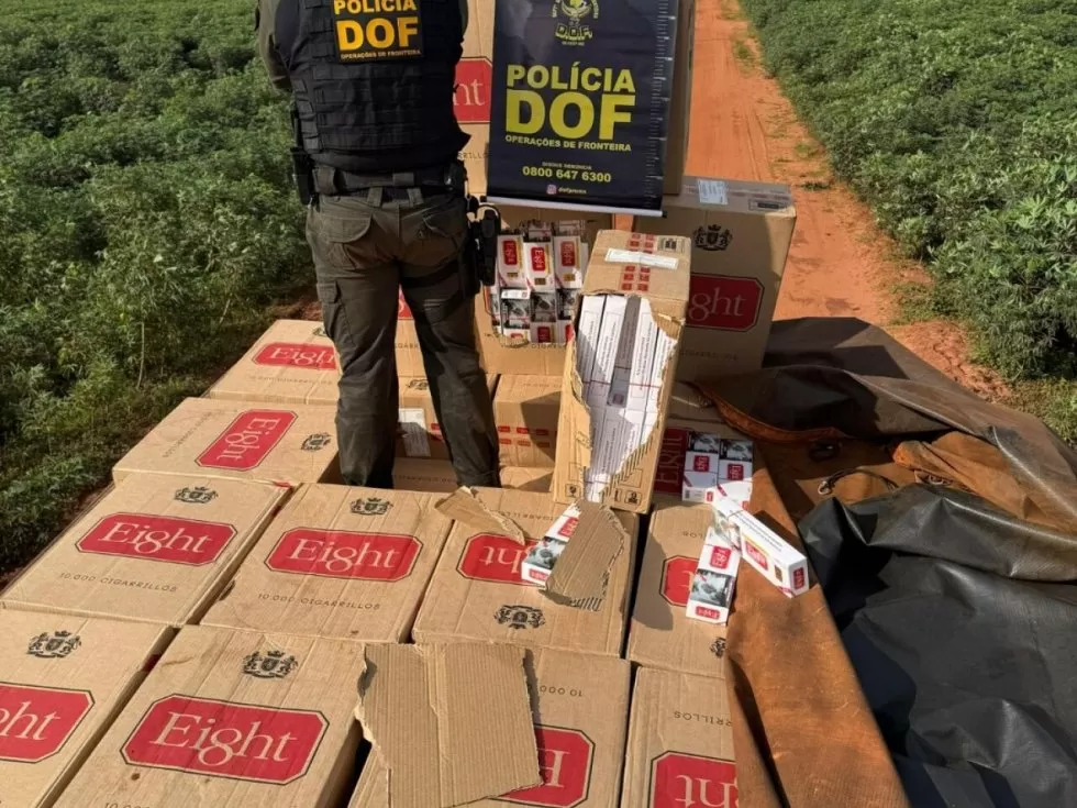 Carga apreendida na ação - Crédito: Divulgação DOF