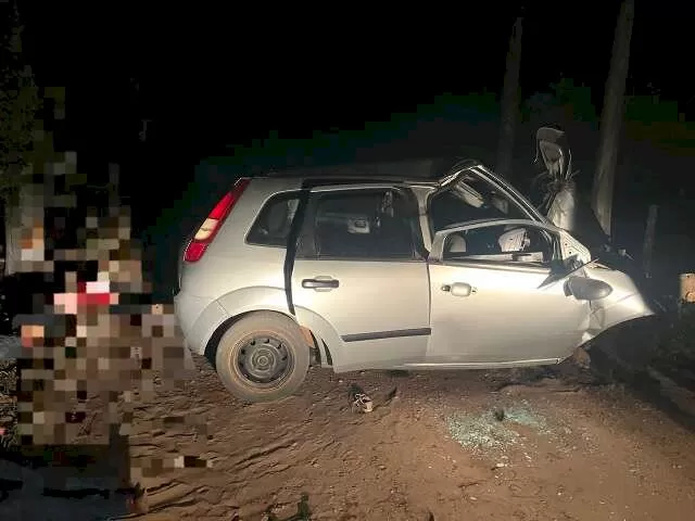 Carro com a frente destruída ao bater em árvore. (Foto: Divulgação)