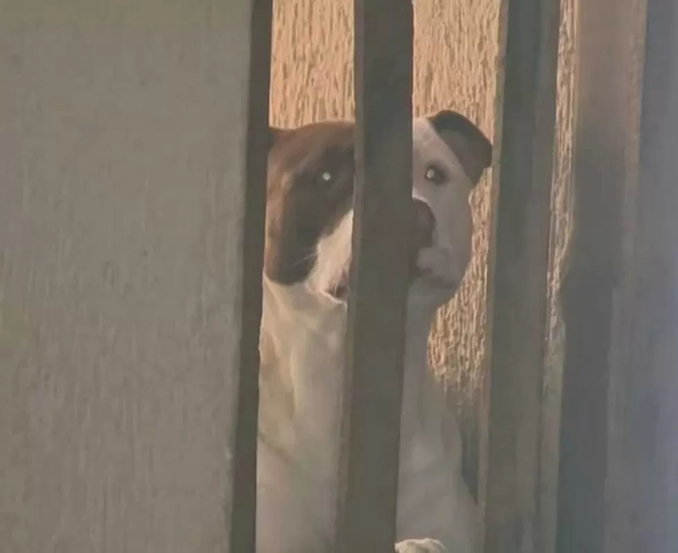 Reprodução EPTV - imagem ilustrativa