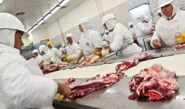 Trabalhadores preparando cortes de carne em frigorífico de Campo Grande (Foto: Arquivo)