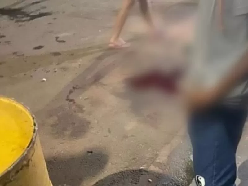 Ataques de escorpiões aumentaram em MS nos últimos anos (Foto: Divulgação, Governo de MS)