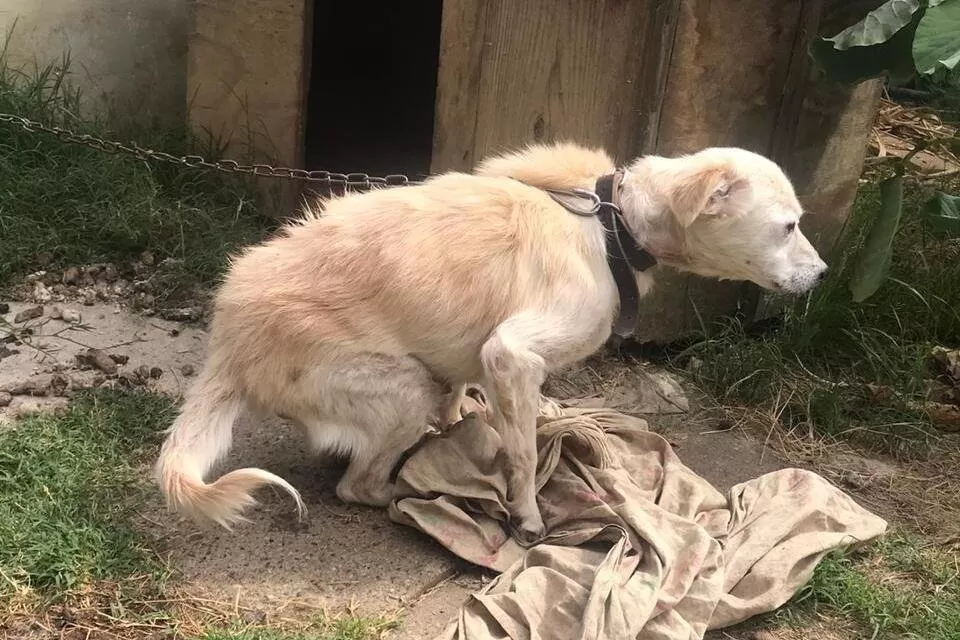 Imagem ilustrativa (Reproudção)