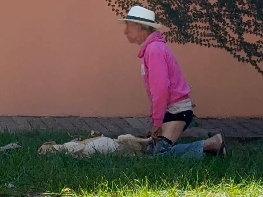 Local onde o idoso estava com a cadela - Fotos: Jornal da Nova