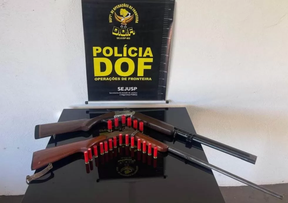 Armas e munições apreendidas pelo DOF - Foto: Divulgação