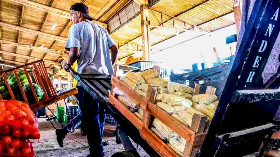 Ceasa-MS abastece comerciantes. (Arquivo, Jornal Midiamax)