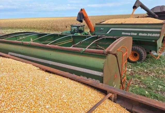 Máquinas colheitadeiras de milho em uma lavoura de MS (Foto: Aprosoja)