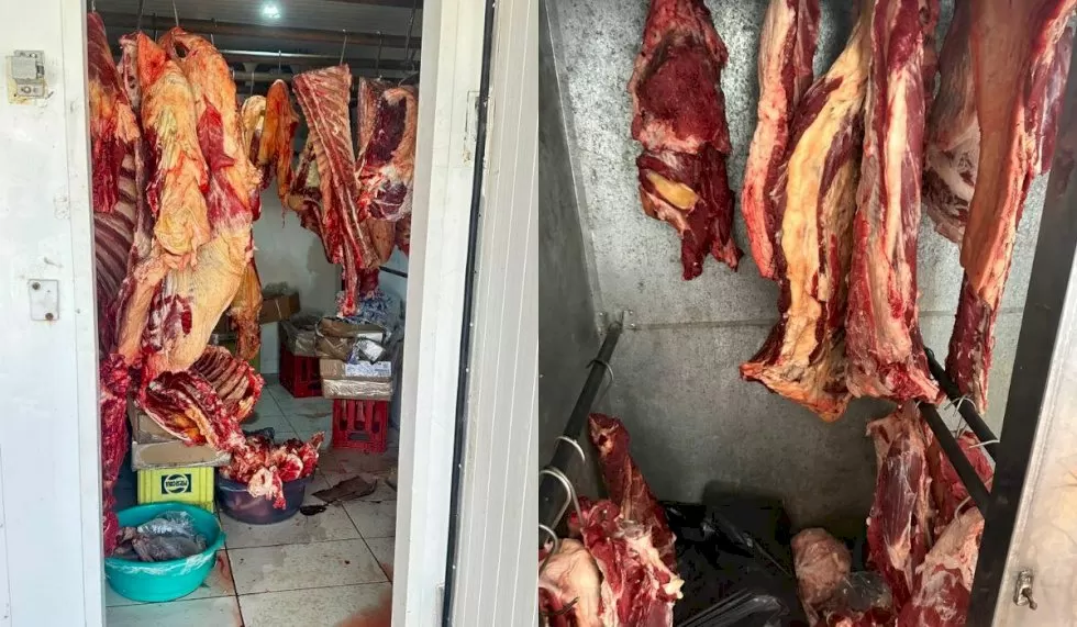 No local várias carnes foram apreendidas. (Reprodução, PCMS)