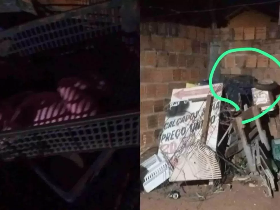 Recém-nascido na caixa de frutas - Crédito: (Corpo de Bombeiros)