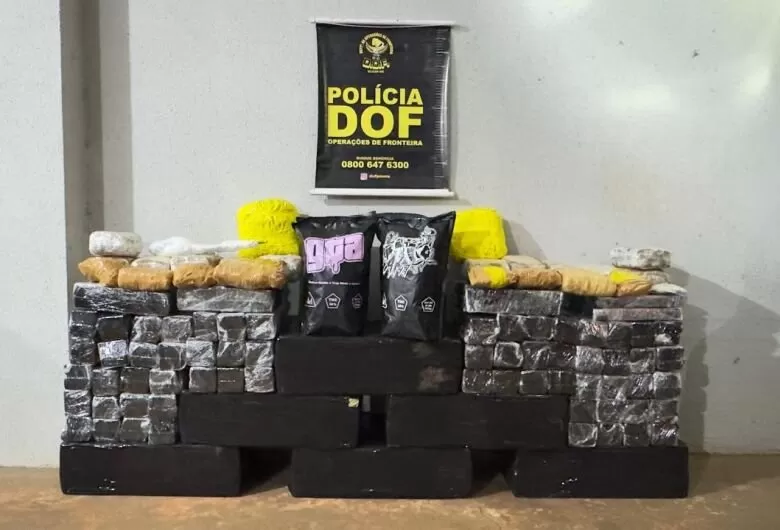 Apreensão aconteceu na MS-165 - Crédito: Divulgação/DOF