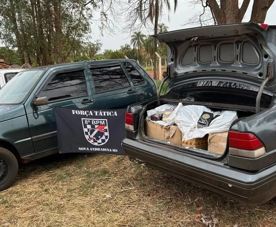 Mercadoria apreendida - Foto: Polícia Militar/Divulgação