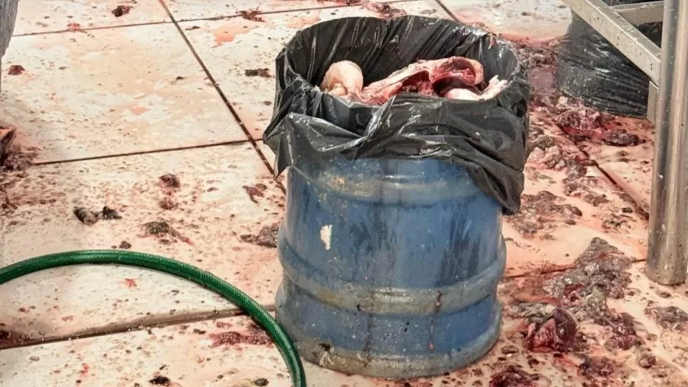 Peixaria foi interditada nesta terça-feira (30) (Foto: Divulgação PCMS)