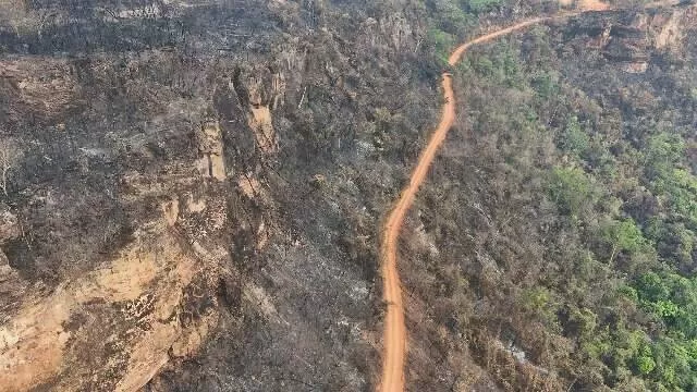 Área devastada pelo fogo no Parque das Nascentes do Rio Taquari (Imagens: PL Drone)